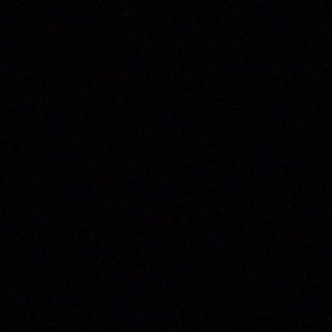 Meet your Posher, Hector